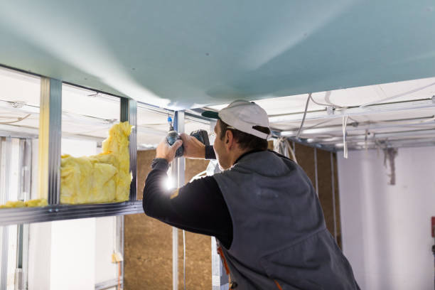 Best Fiberglass Insulation  in USA